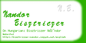 nandor bisztriczer business card